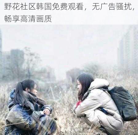 野花社区韩国免费观看,无广告骚扰,畅享高清画质