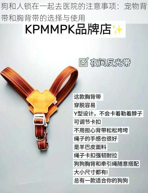 狗和人锁在一起去医院的注意事项:宠物背带和胸背带的选择与使用