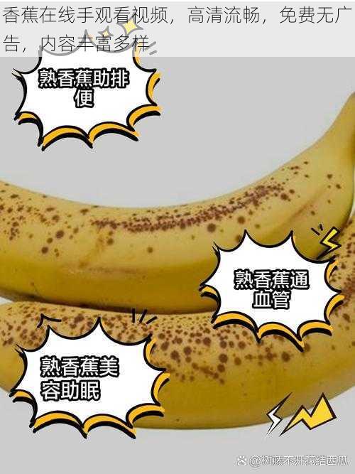 香蕉在线手观看视频,高清流畅,免费无广告,内容丰富多样