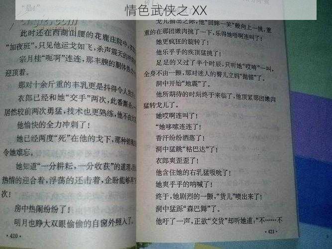 情色武侠之 XX