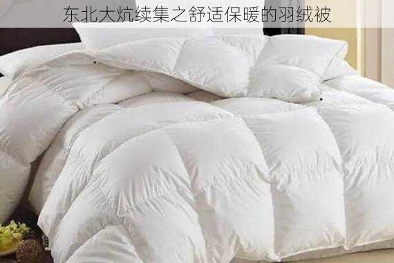 东北大炕续集之舒适保暖的羽绒被