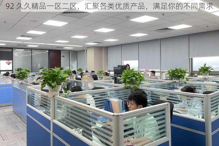 92 久久精品一区二区,汇聚各类优质产品,满足你的不同需求