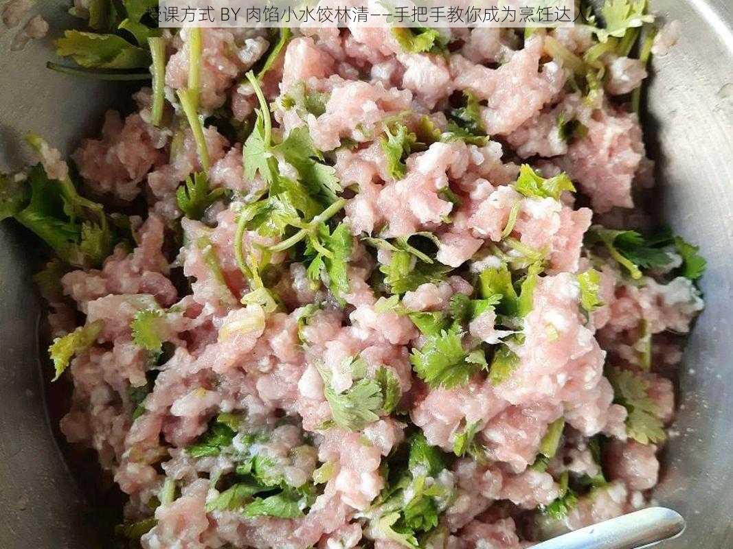 授课方式 BY 肉馅小水饺林清——手把手教你成为烹饪达人