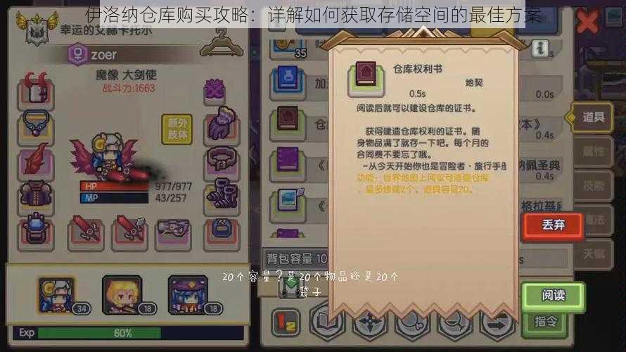 伊洛纳仓库购买攻略:详解如何获取存储空间的最佳方案