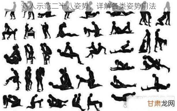 真人示范二十八姿势,详解各类姿势用法