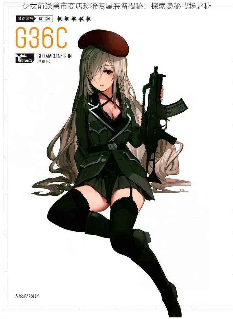 少女前线黑市商店珍稀专属装备揭秘:探索隐秘战场之秘