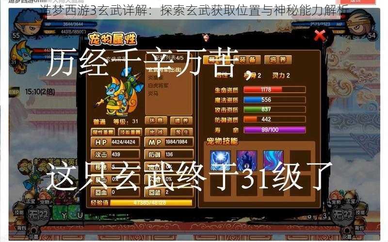 造梦西游3玄武详解:探索玄武获取位置与神秘能力解析